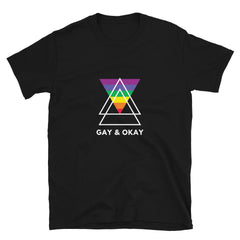 Gay & OK T-Shirt