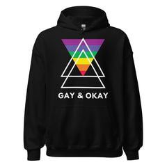 Gay & OK Unisex Hoodie