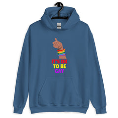 It's Ok To Be Gay Unisex Hoodie