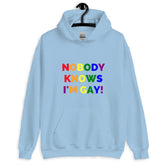 Nobody Knows I'm Gay! Unisex Hoodie