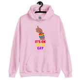 It's Ok To Be Gay Unisex Hoodie