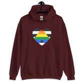 LGBTQ Ally Unisex Hoodie