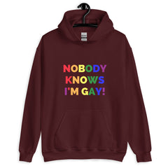Nobody Knows I'm Gay! Unisex Hoodie