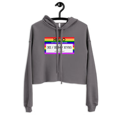 Hello My Pronouns Are Xe / Xem / Xyrs Crop Hoodie