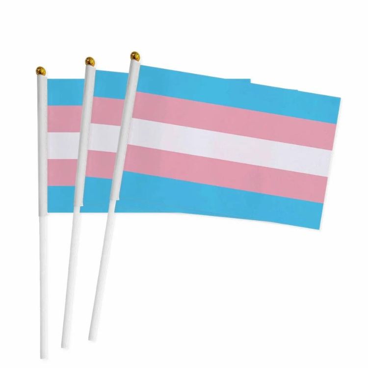 100 Handheld LGBT Pride Flags