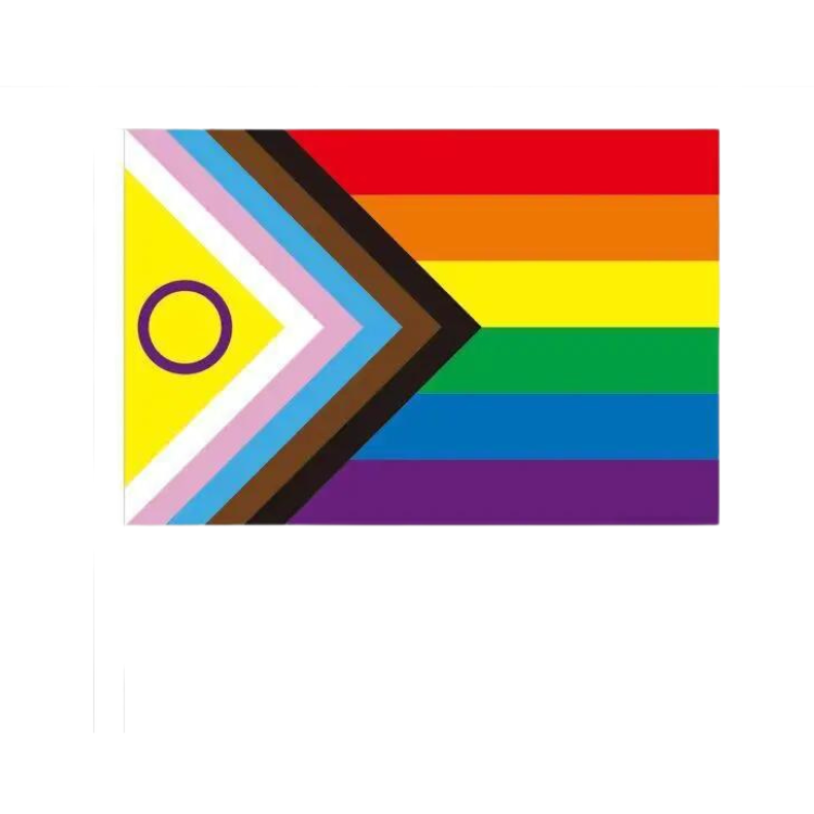 100 Handheld LGBT Pride Flags