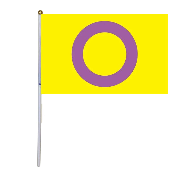 100 Handheld LGBT Pride Flags