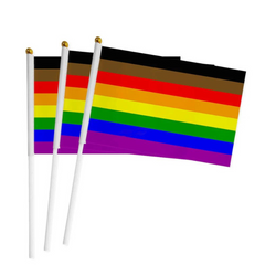 100 Handheld LGBT Pride Flags