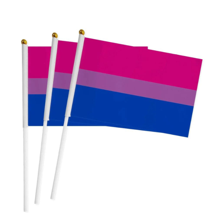 100 Handheld LGBT Pride Flags