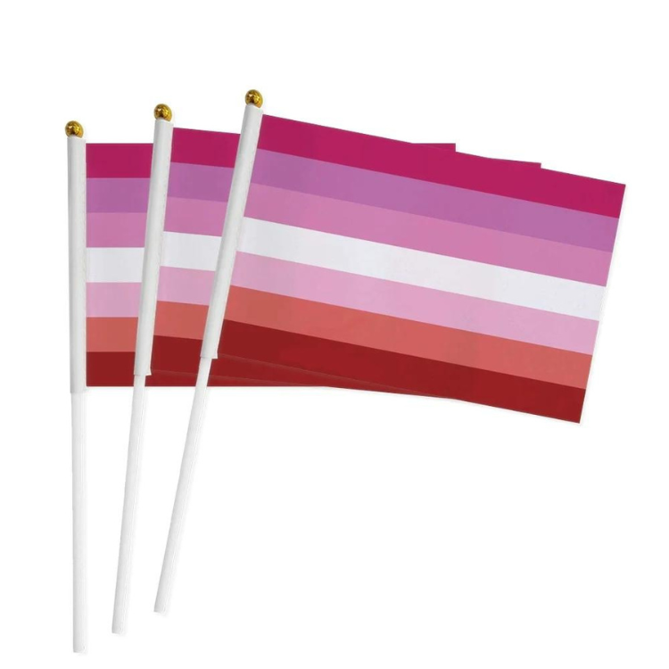 100 Handheld LGBT Pride Flags