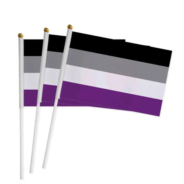 100 Handheld LGBT Pride Flags