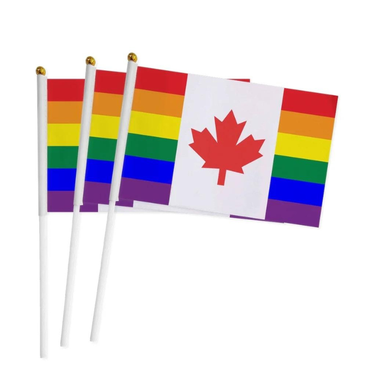 100 Handheld LGBT Pride Flags