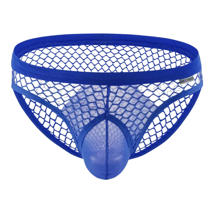 AllureFit Sexy Mesh Briefs