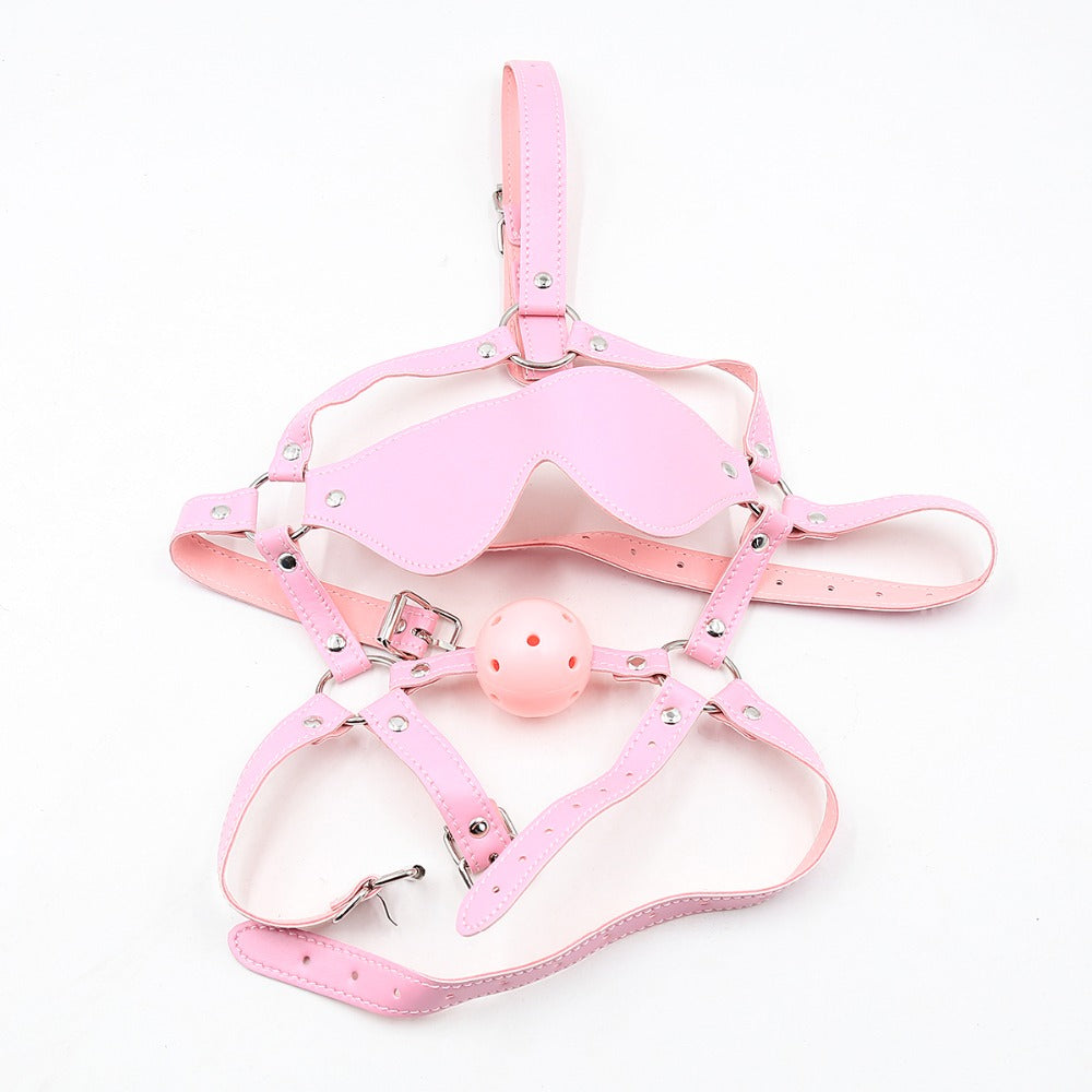 BDSM Gagged Hood