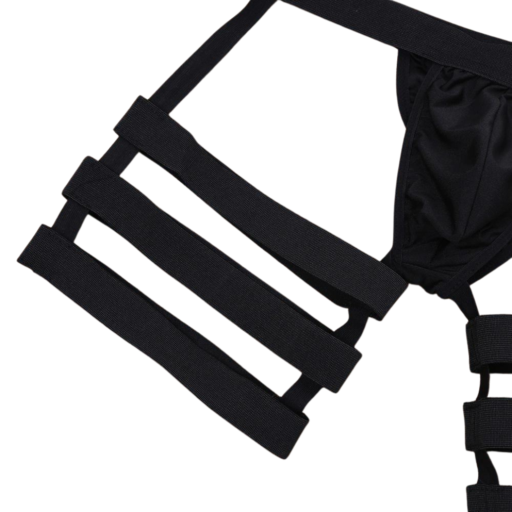 BoldGarter Men's Lingerie Briefs