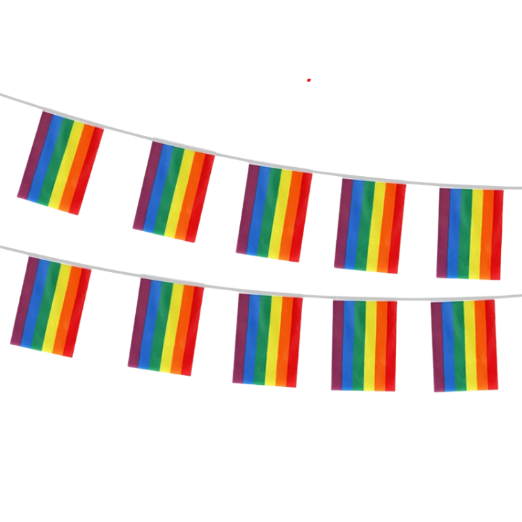 Boldly Celebrating LGBTQ+ Flag Garland