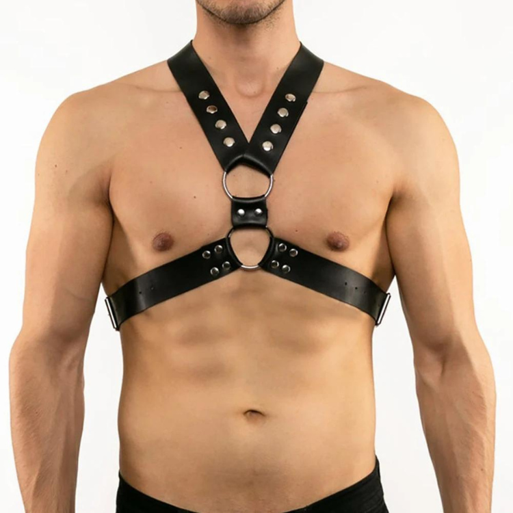 Buckle Up Buddy Black Harness