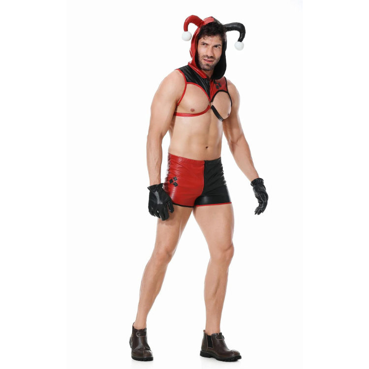 Carnival Cutie Gay Jester Costume