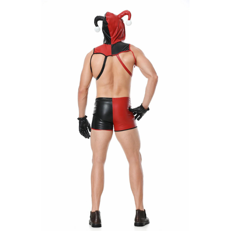 Carnival Cutie Gay Jester Costume