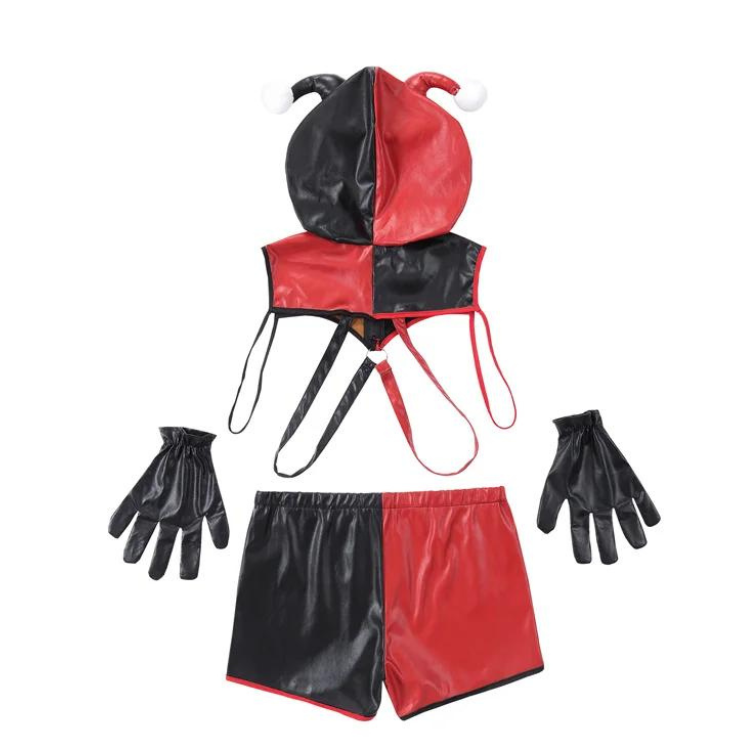 Carnival Cutie Gay Jester Costume