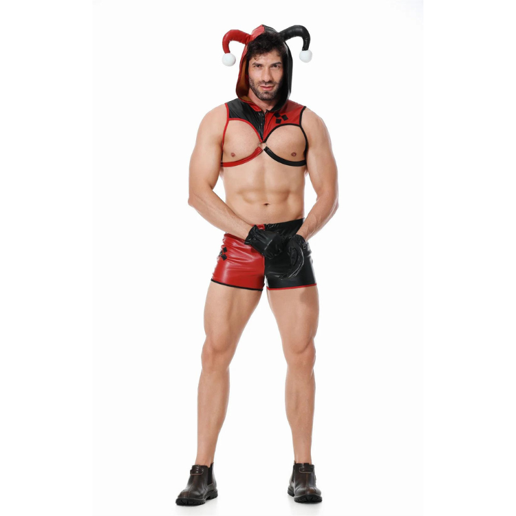 Carnival Cutie Gay Jester Costume