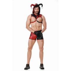 Carnival Cutie Gay Jester Costume