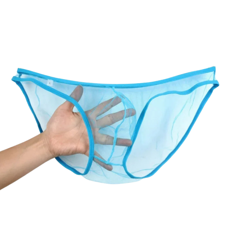 Caught In The Act Men's Mesh Briefs