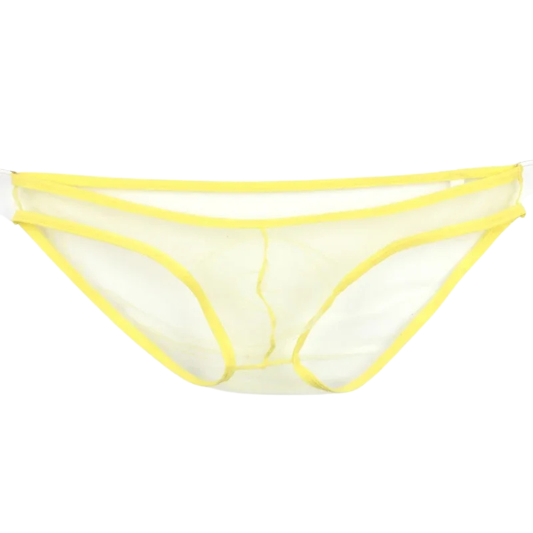 Caught In The Act Men's Mesh Briefs