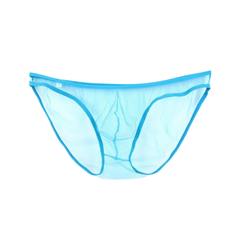 Caught In The Act Men's Mesh Briefs