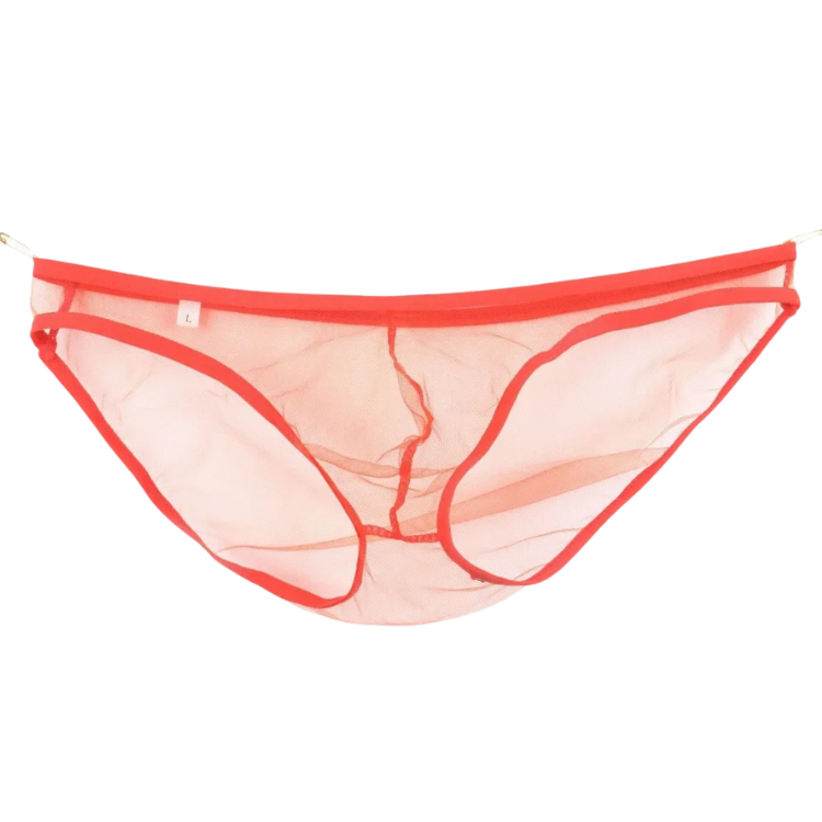 Caught In The Act Men's Mesh Briefs