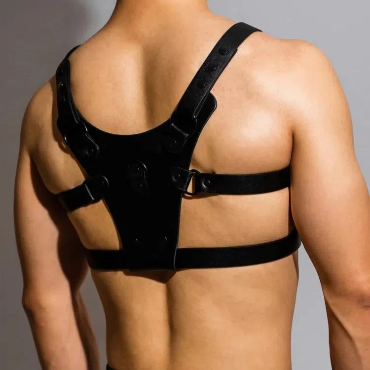 D.M. Black Adjustable Chest Strap Harness