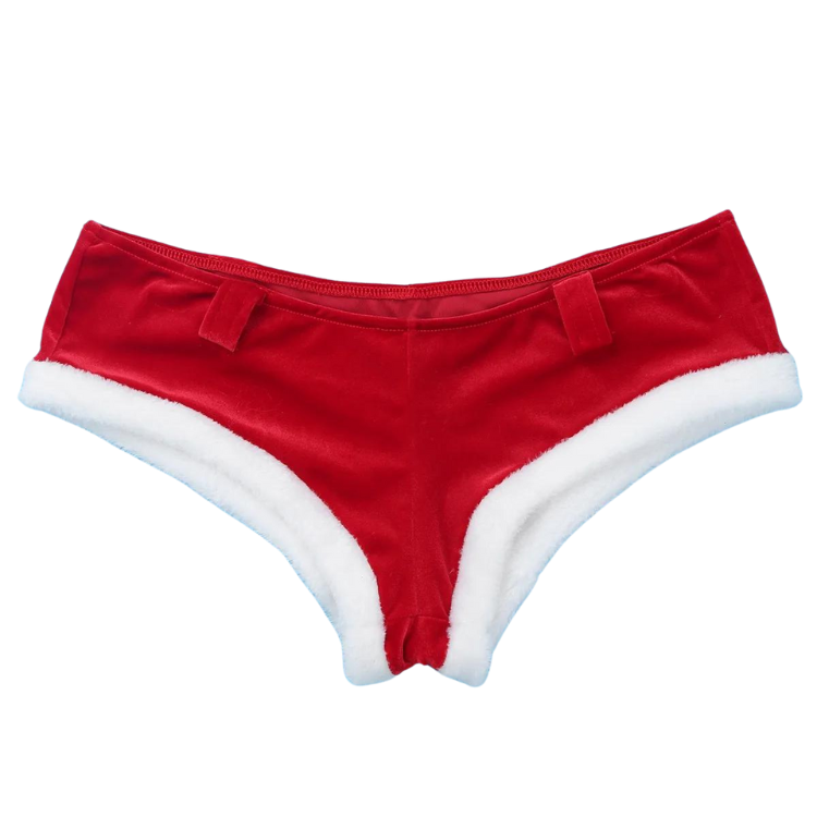 Exotic Mrs. Claus Christmas Fantasy Outfit