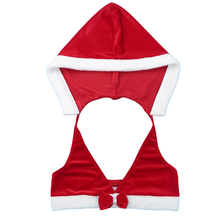 Exotic Mrs. Claus Christmas Fantasy Outfit