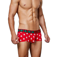 Festive Christmas Tartan Boxer Briefs