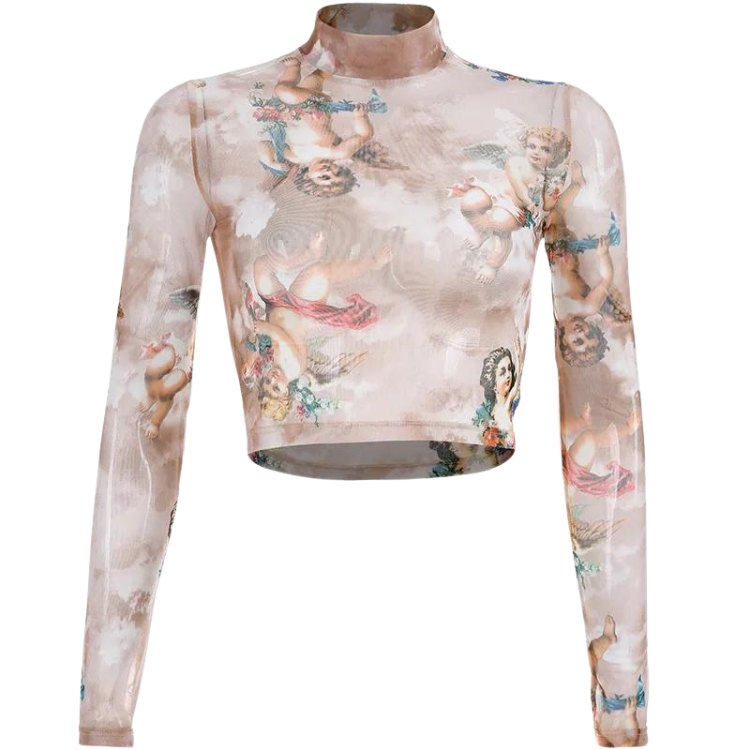 Floral Cherub Mesh Long Sleeve Crop Top