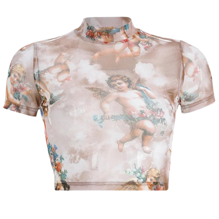 Floral Cherub Mesh Long Sleeve Crop Top