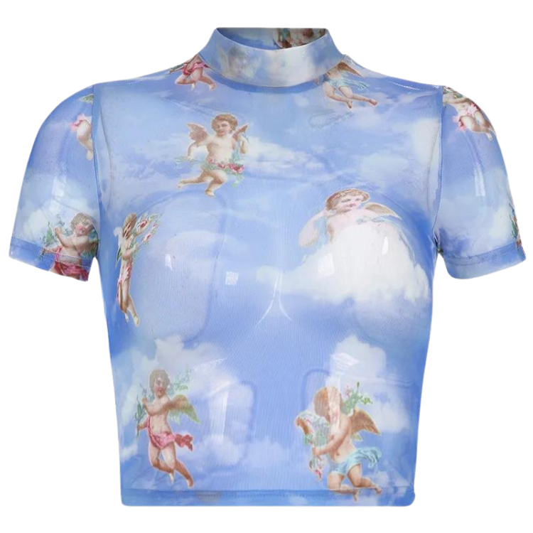 Floral Cherub Mesh Long Sleeve Crop Top