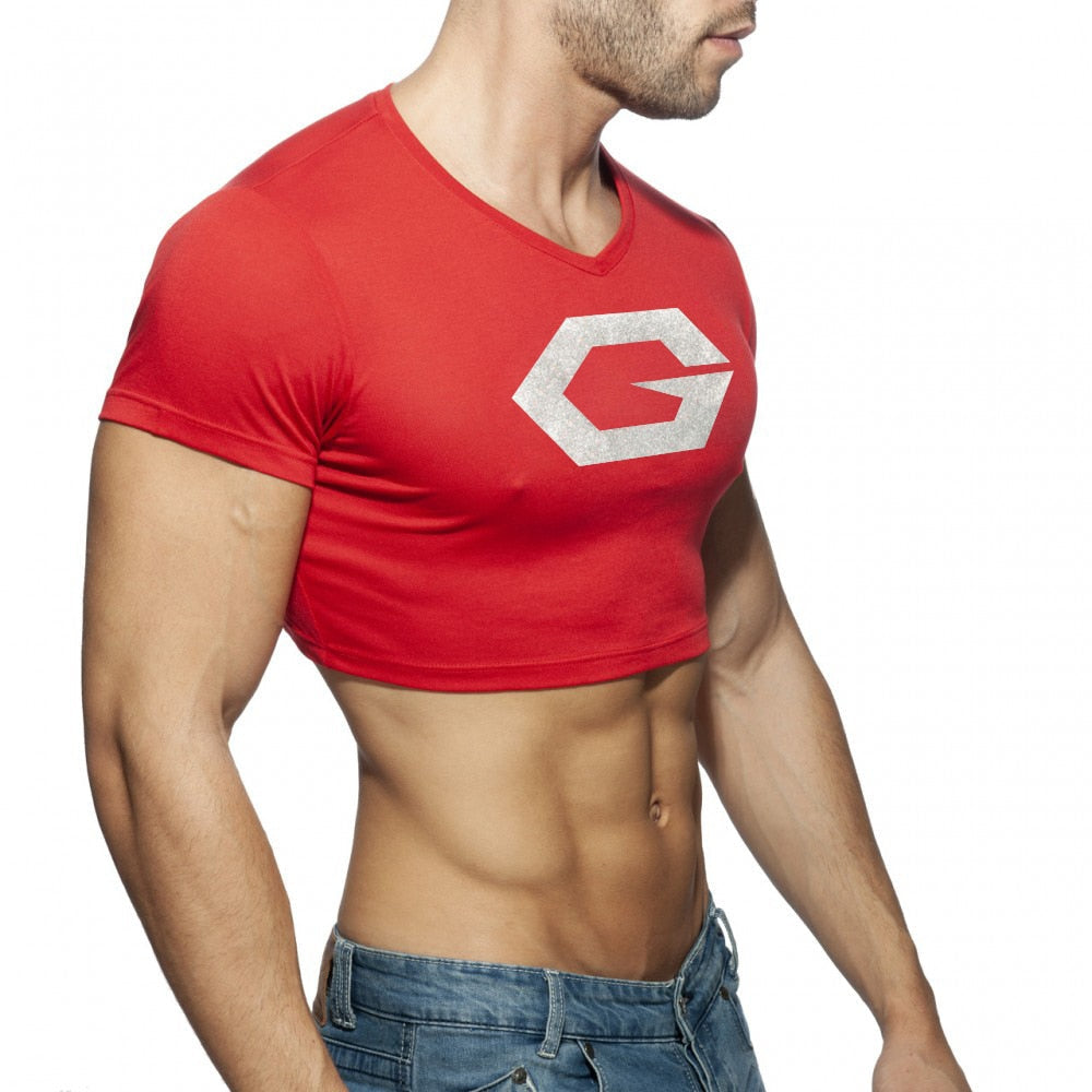 Sexy Super Gay Crop Top