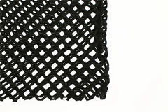 Rave Netted Crop Top
