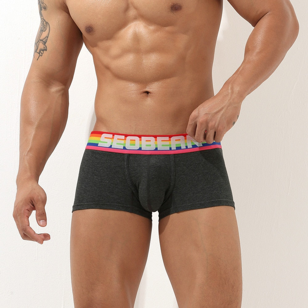 Seobean Rainbow Pride Boxers