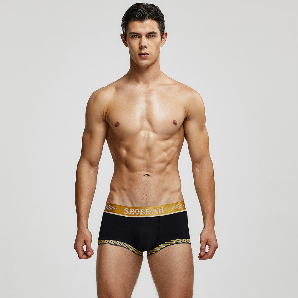 Seobean Golden Boxers