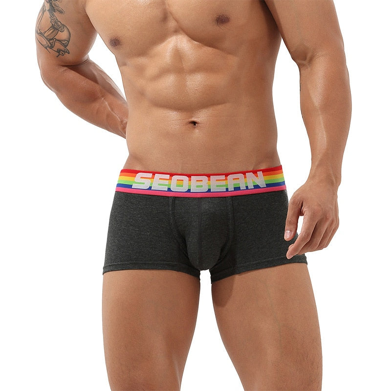 Seobean Rainbow Pride Boxers