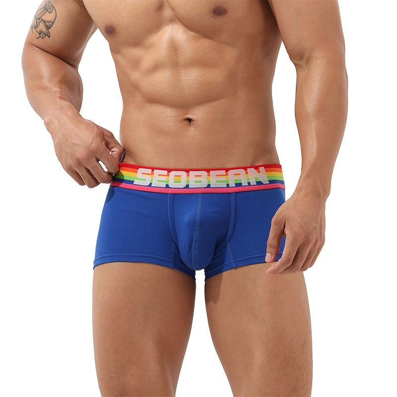 Seobean Rainbow Pride Boxers