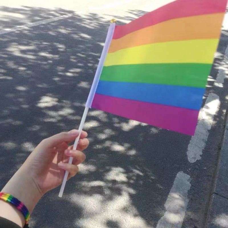 25 Handheld LGBT Pride Flags