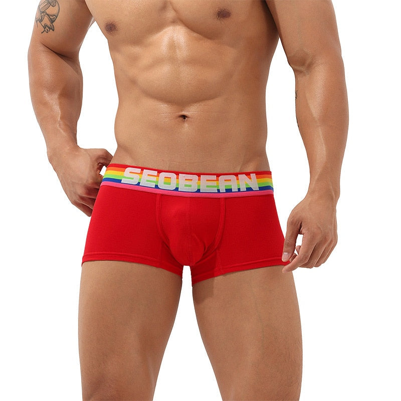 Seobean Rainbow Pride Boxers