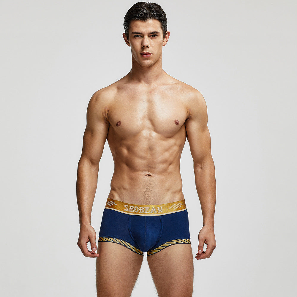 Seobean Golden Boxers