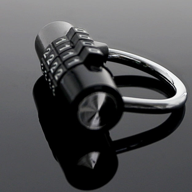 Deniable Pleasure Chastity Key Safe