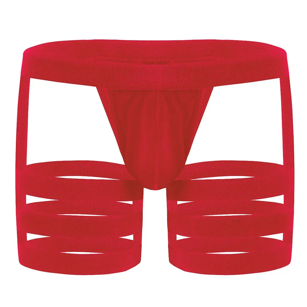BoldGarter Men's Lingerie Briefs