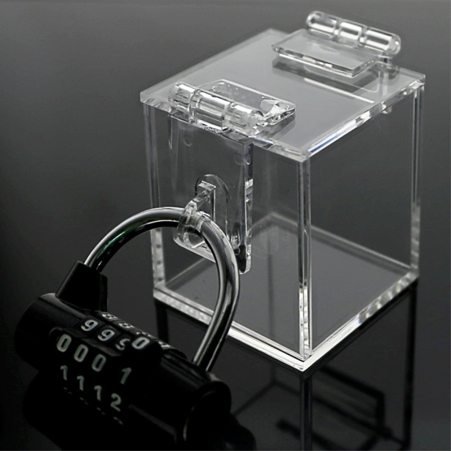 Deniable Pleasure Chastity Key Safe