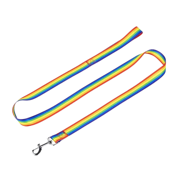 LGBT Pride Nylon Dog Leash